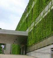 校舎壁面を覆う緑のゴーヤカーテン（美濃山小学校）