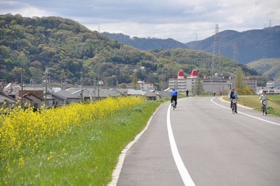 サイクリングロード