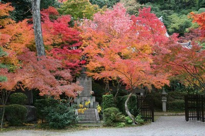 善法律寺