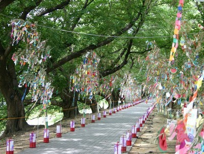 涼運ぶ風に揺れるササ飾り