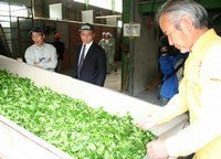 製茶工場を訪れ関係者を激励する明田市長