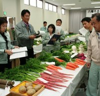 出品された野菜の色、ツヤなどをチェックする審査員