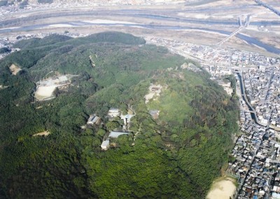 男山と三川合流部