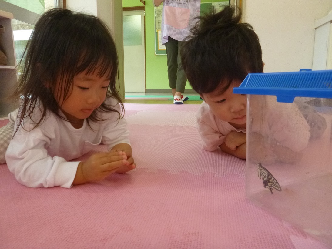 常設で遊んでいる様子