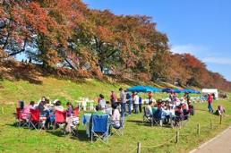 紅葉するソメイヨシノの前でアウトドア料理に舌鼓を打つ参加者たち　画像