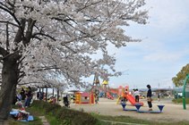 6.市民体育館・市民スポーツ公園　画像