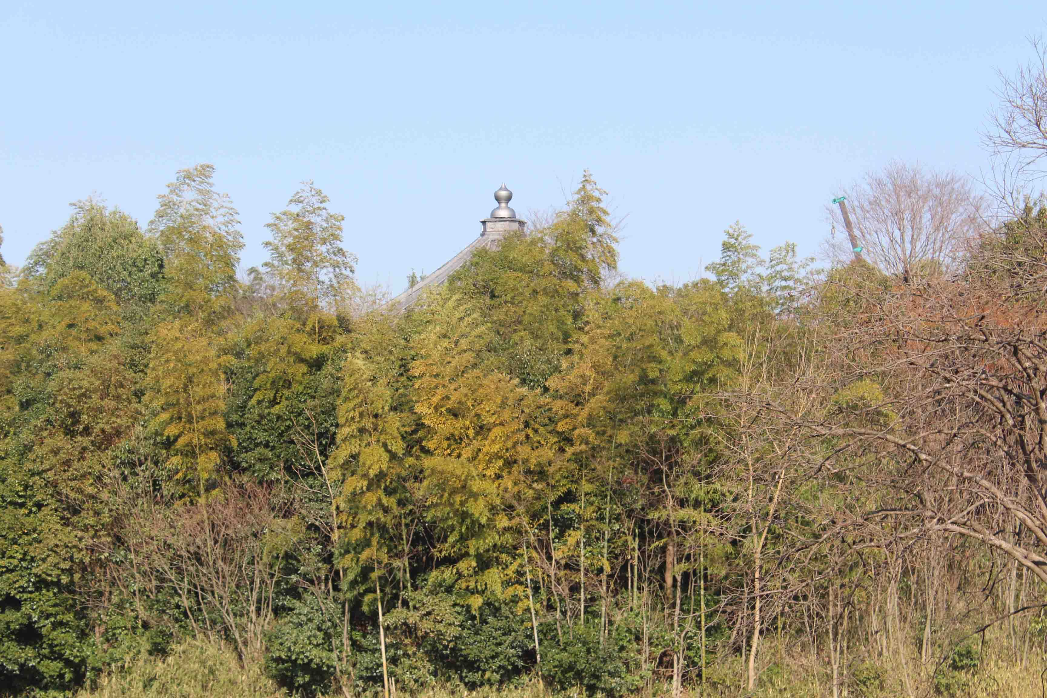 八角堂西方からの遠景（寄り）