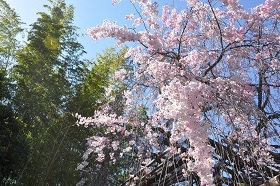 松花堂庭園