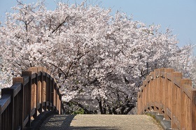 若宮八幡宮（美濃山）