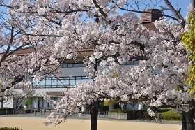 市民スポーツ公園