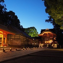 竹灯ろうの明かりで照らされた夜の石清水八幡宮参道