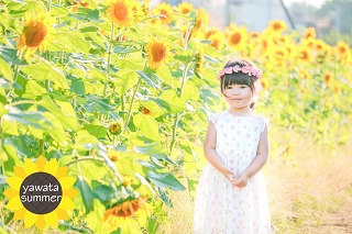 ひまわり畑と花冠をかぶった女の子