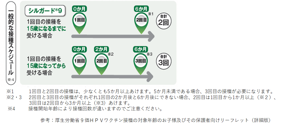 一般的な接種スケジュール