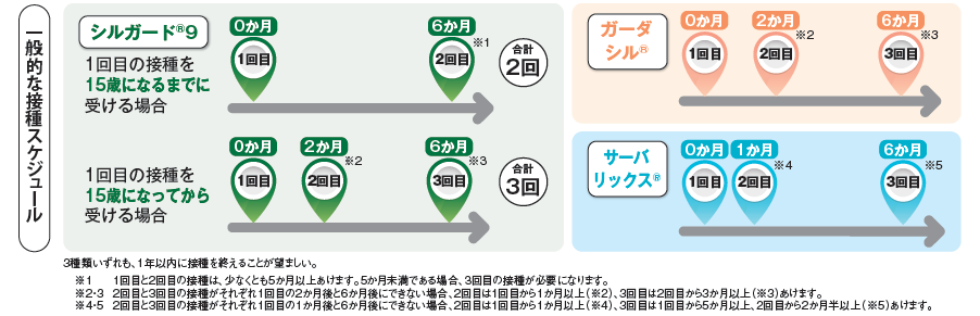 一般的な接種スケジュール