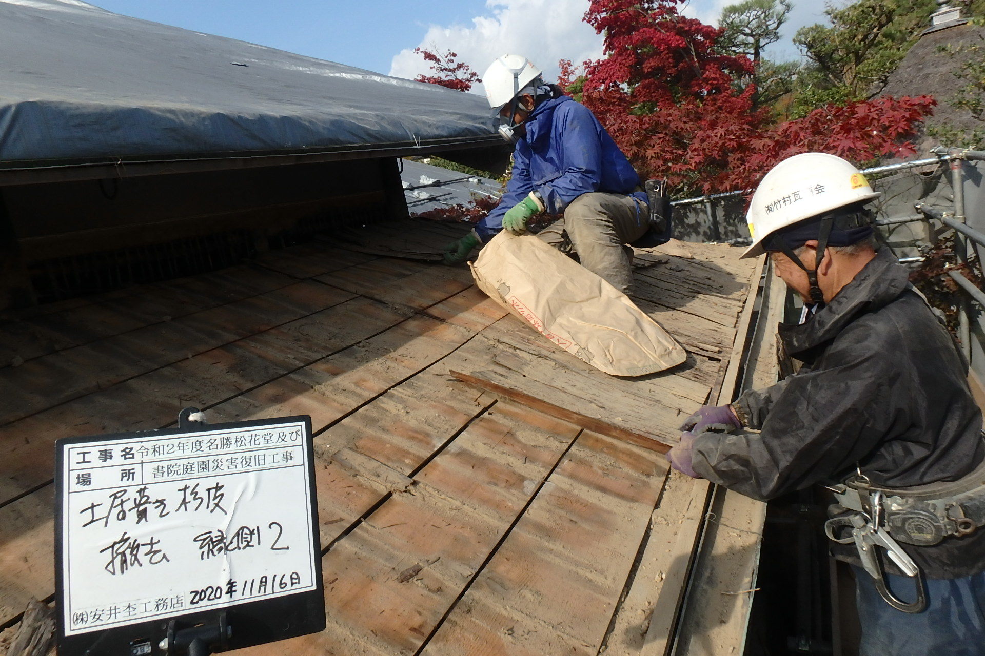 南側から見た杉皮撤去作業