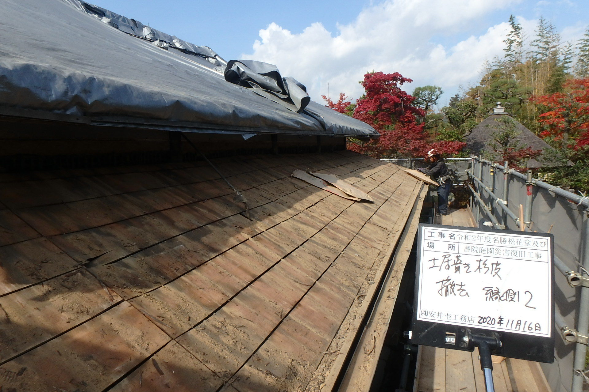 南側から見た土居葺き（杉皮撤去後）の様子