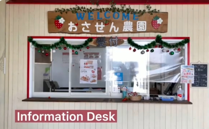 いちご狩り体験