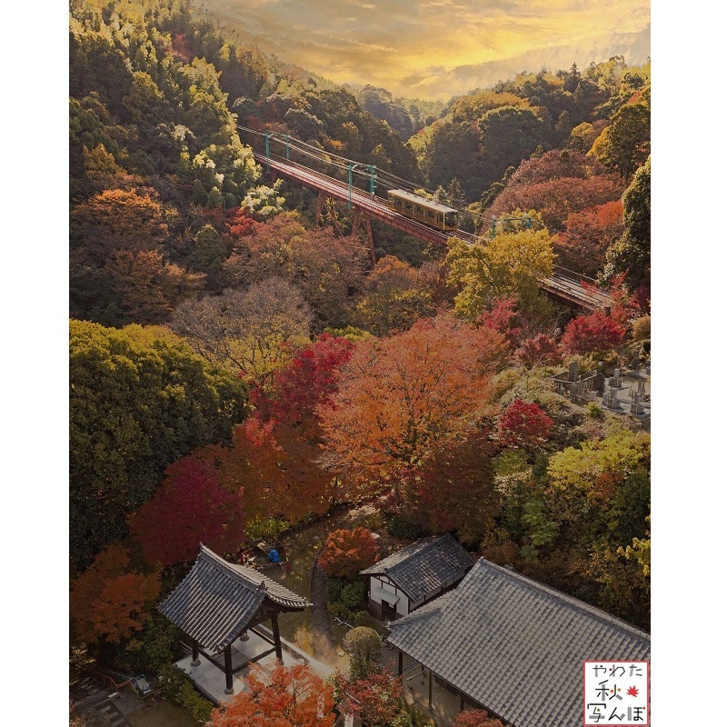 石清水八幡宮参道ケーブルの写真