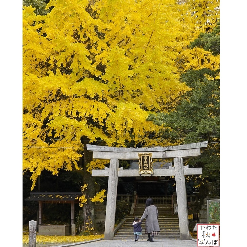 高良神社を歩く親子の写真