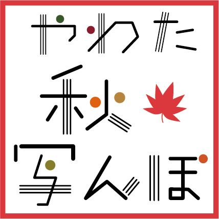 企画ロゴ