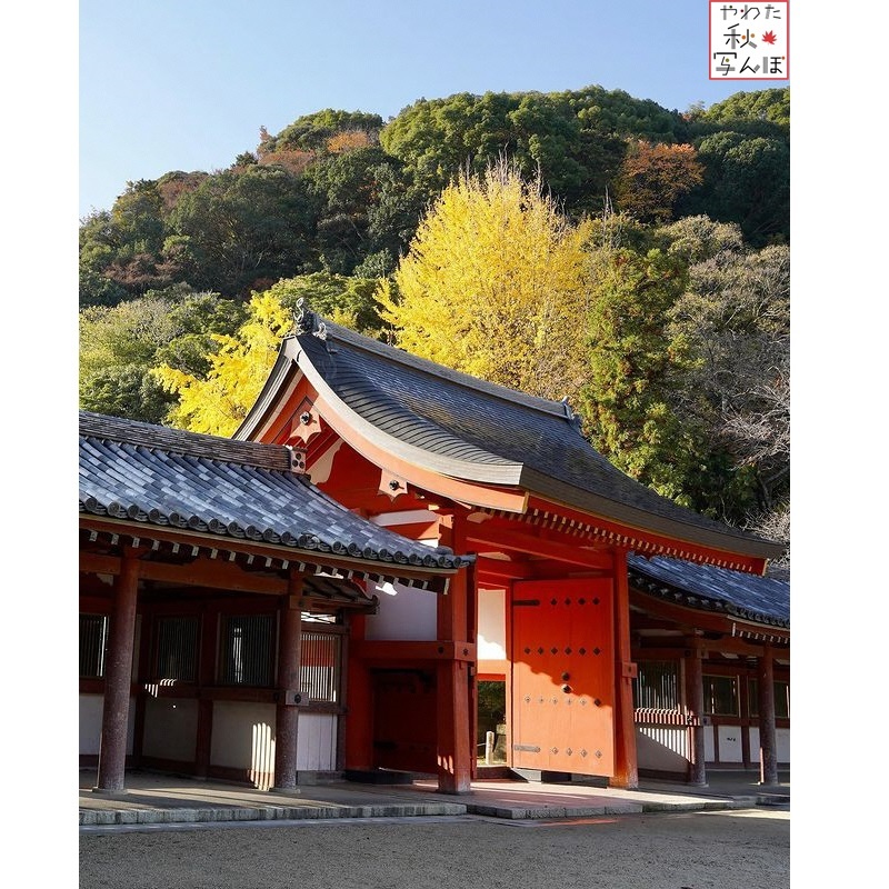 石清水八幡宮頓宮の写真