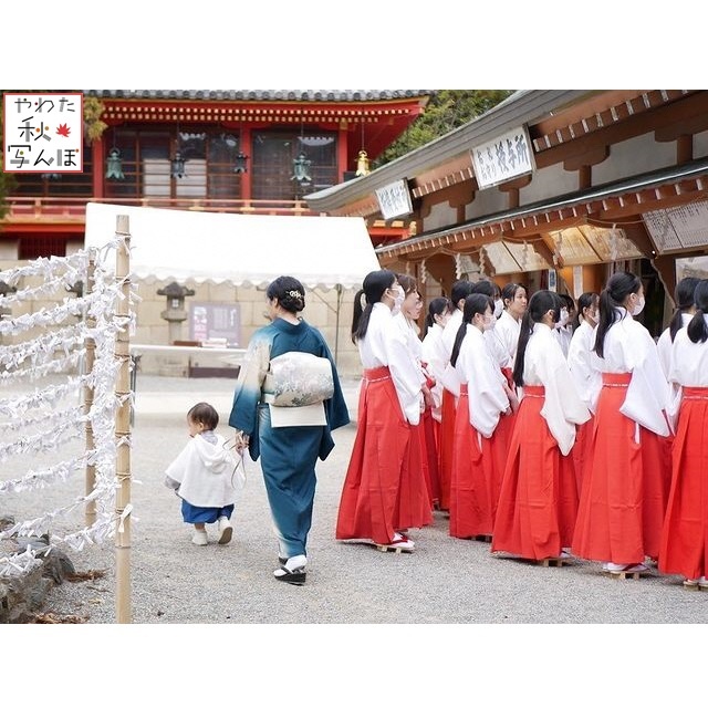 石清水八幡宮と着物姿の親子の写真