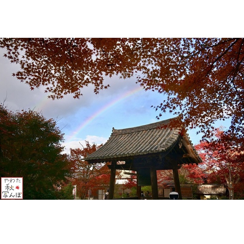 神應寺と虹の写真