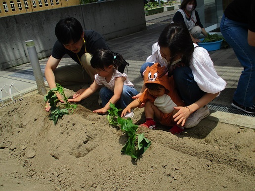 すくすく農園