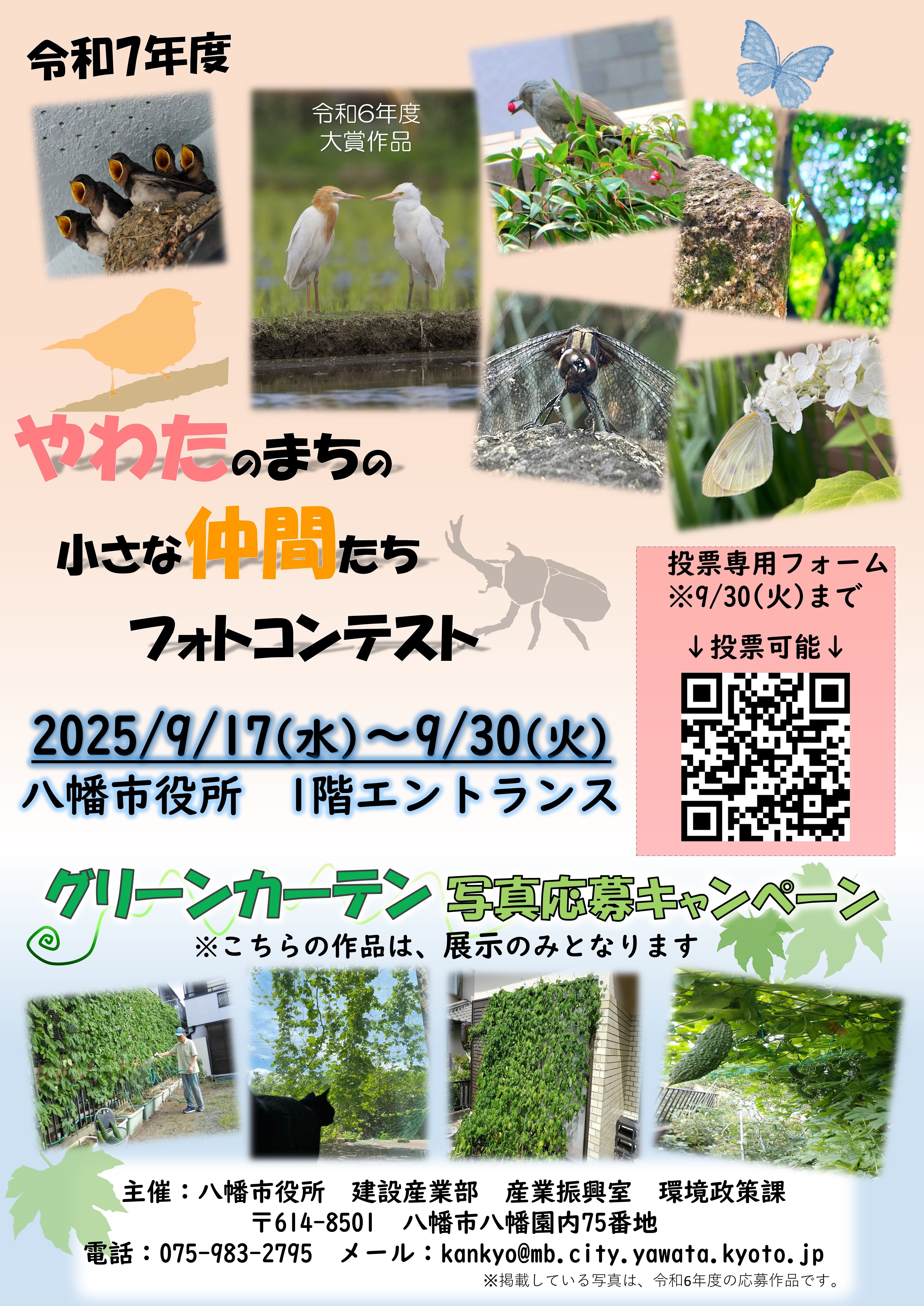 写真展示チラシ