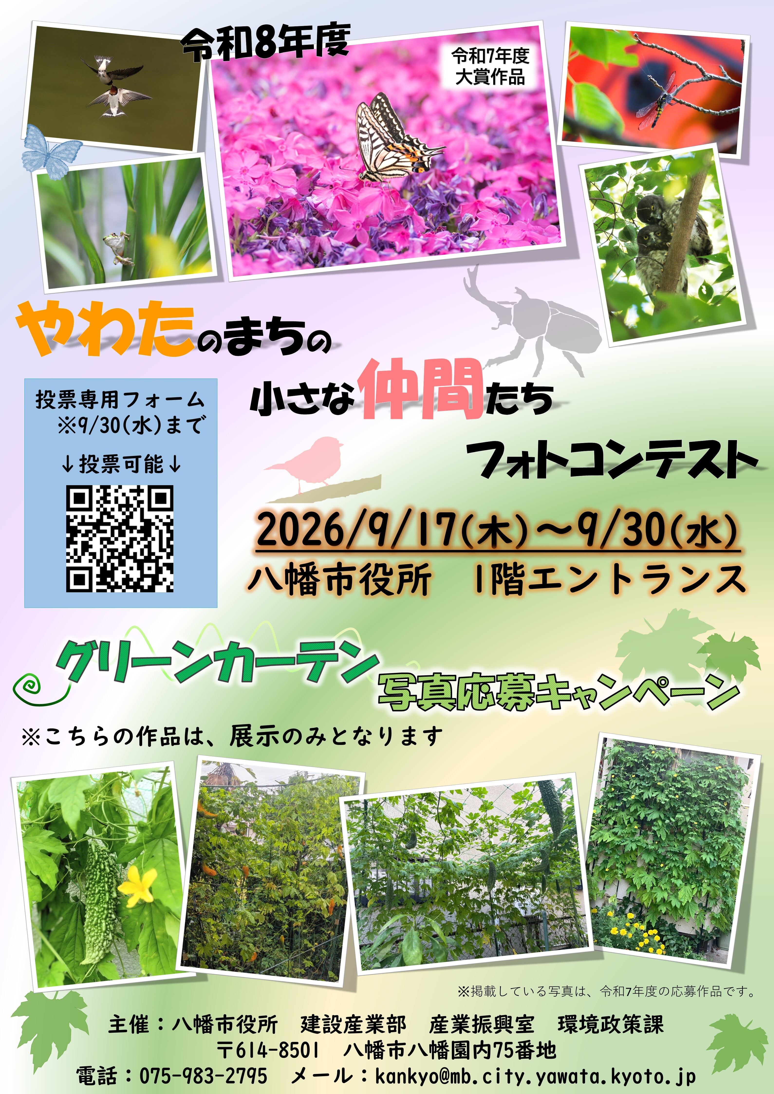 写真展示チラシ