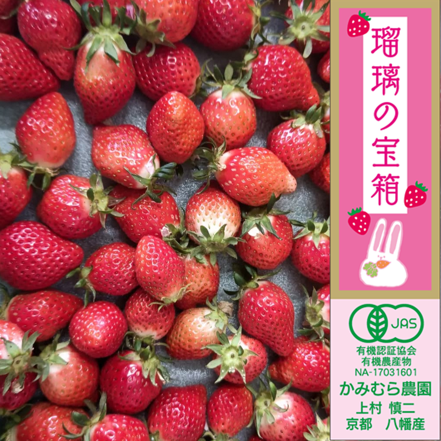 瑠璃の宝箱の画像