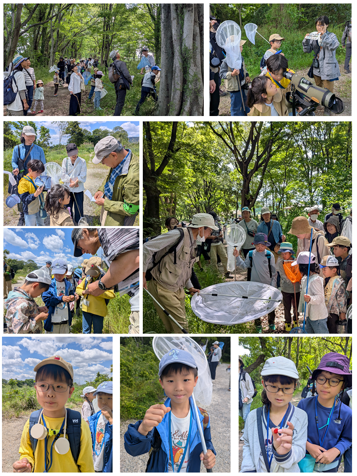 子ども自然観察会の様子