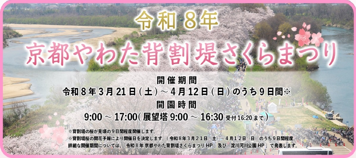 令和8年京都やわた背割堤さくらまつり