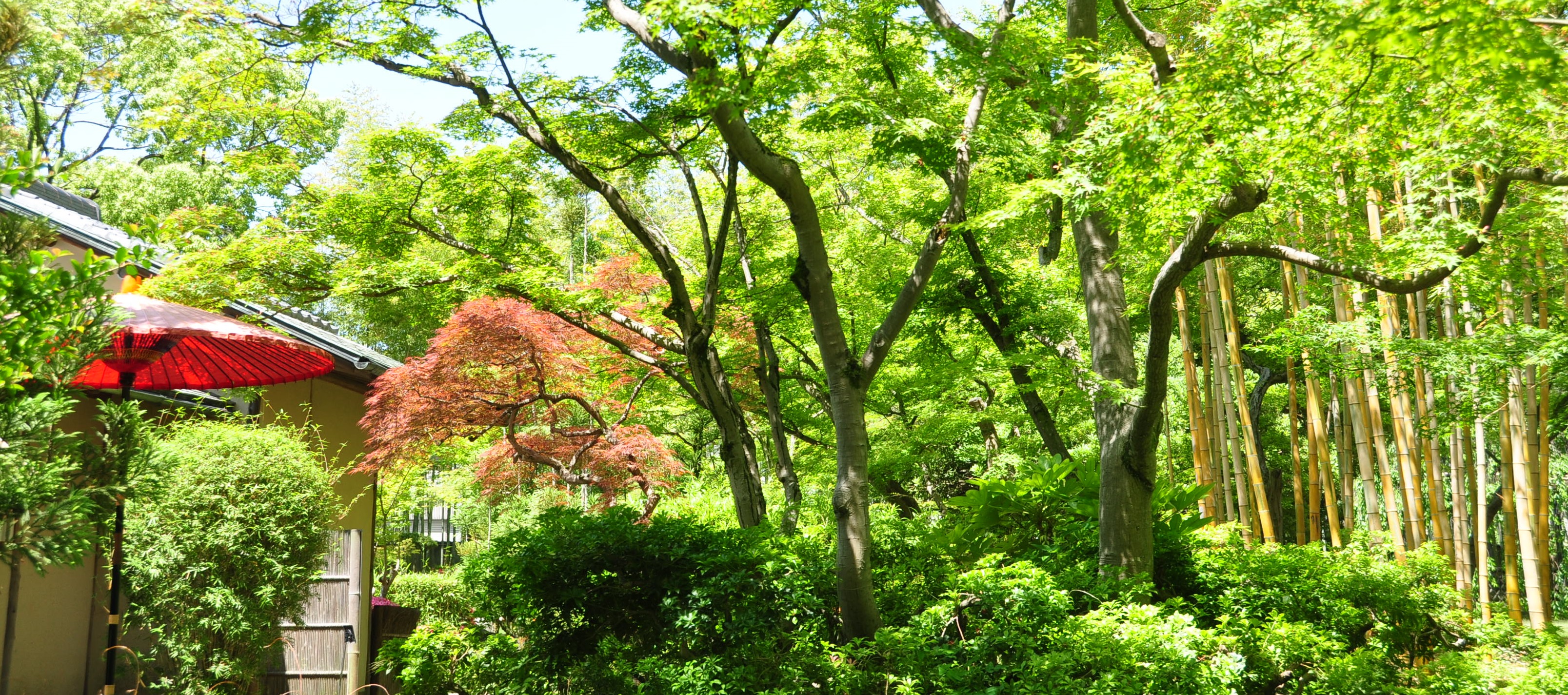 新緑の松花堂庭園